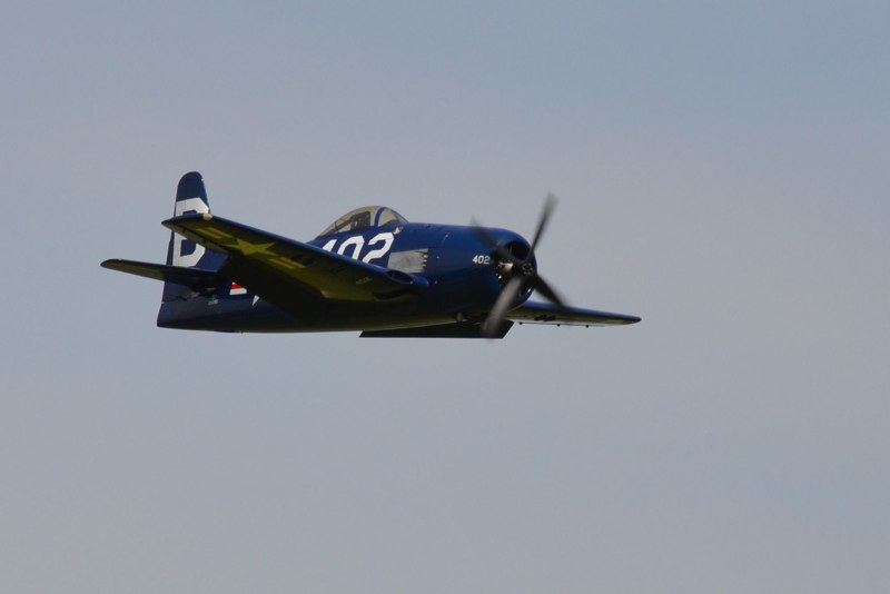 41_Warbird