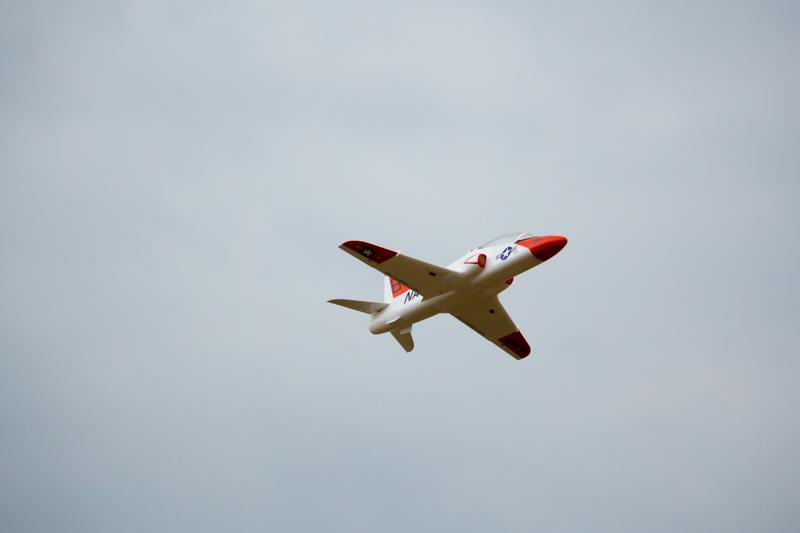 IMG 5316