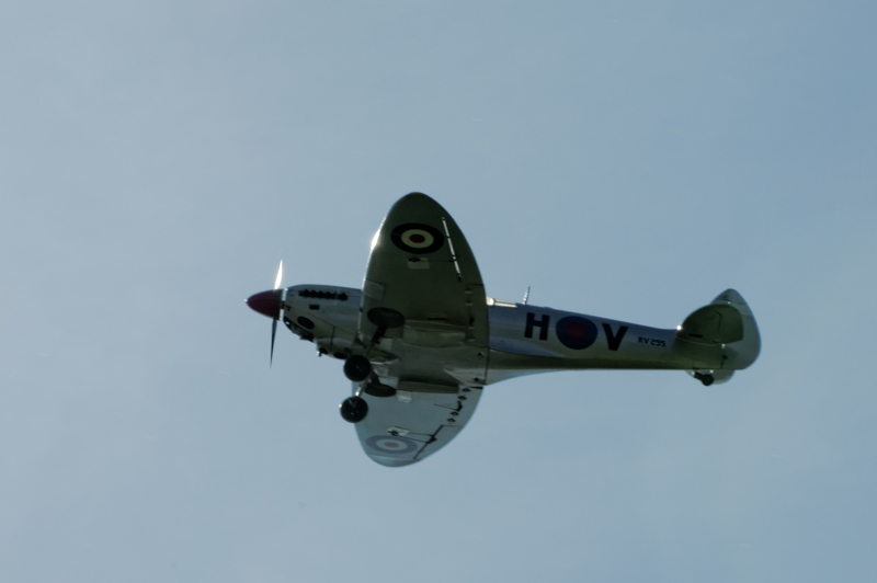 IMGP4053 HB